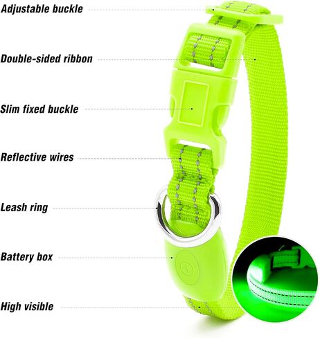 Visinite Light Up Dog Collars for Small Dogs,LED Dog Collar Light Rechargeable,Fully Adjustable Lighted Dog Collar,Glow in The Dark Dog Collars with Dog Lights for Night Walking,Green in Saudi Arabia