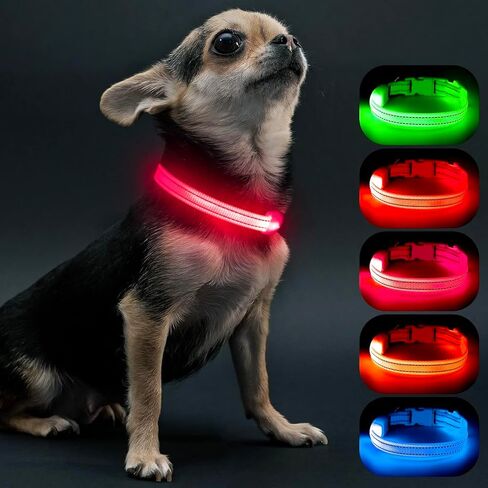Visinite Light Up Dog Collars for Small Dogs,LED Dog Collar Light Rechargeable,Fully Adjustable Lighted Dog Collar,Glow in The Dark Dog Collars with Dog Lights for Night Walking,Green in Saudi Arabia