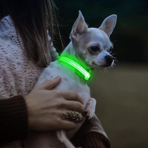 Visinite Light Up Dog Collars for Small Dogs,LED Dog Collar Light Rechargeable,Fully Adjustable Lighted Dog Collar,Glow in The Dark Dog Collars with Dog Lights for Night Walking,Green in Saudi Arabia