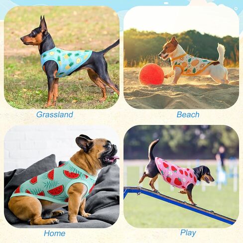 Abbylike 6 Pack Summer Dorts for Dog ، قمصان الكلب المسدود ، والتبريد السريع سريع الجفاف للحيوانات الأليفة ، سترة جرو القطط التنفس ، أعلى دبابة لتدريبات المشي لمسافات طويلة في صيد الحيوانات الأليفة (L) in Kuwait