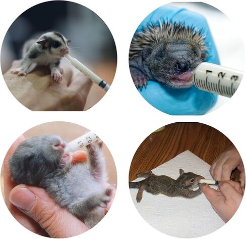 Wonder Nipple & Syringe Nursing Set - Small Animal Handfeeding Nursing Set - Great for Baby Squirrels, Rabbits, Racoons, Sugar Gliders, Hedgehogs, and Other Small Baby Mammals (Basic) in Saudi Arabia