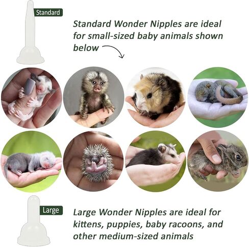 Wonder Nipple & Syringe Nursing Set - Small Animal Handfeeding Nursing Set - Great for Baby Squirrels, Rabbits, Racoons, Sugar Gliders, Hedgehogs, and Other Small Baby Mammals (Basic) in Saudi Arabia
