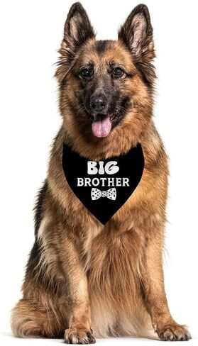Big Brother Dog Bandana, Dog Pregnancy Announcement, Gift for Dog Lover, Dog Bandana for Small Medium Large Dogs, Light Blue Dog Bandana, Big Brother Dog Shirt, Dog Scarf (A8) in Kuwait