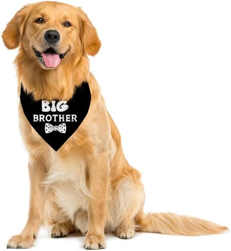 Big Brother Dog Bandana, Dog Pregnancy Announcement, Gift for Dog Lover, Dog Bandana for Small Medium Large Dogs, Light Blue Dog Bandana, Big Brother Dog Shirt, Dog Scarf (A8) in Kuwait