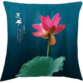 Pack of 2 Decorative Square Pillow Cover with Invisible Zipper,Cotton Linen Double Sided Printing Throw Pillow Cover(C)(C)