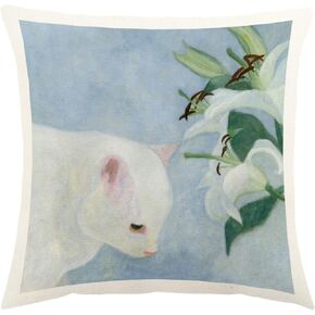 Sofa Cushion Covers 45 x 45 cm，Set of 2 Double-Sided Throw Pillow Cover,Decorative Pillow Case Square Home Decor(B)(A)