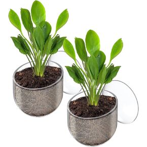 Pawfly 2 Pcs Aquarium Plant Holder, Fish Tank Plant Pot for Aquascape Decoration, Red Worm Fish Feeder, Aquarium Planter Cup with Suction Cup, Clear.