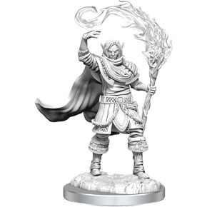 Dungeons & Dragons D&D: Nolzur's Marvelous Unpainted Minis: Elf Cleric Male WZK 90404