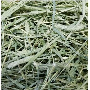 Legendary North Park Timothy Ultra-Reserve Hay for Rabbits, Chinchillas, Guinea Pigs - 100% Fresh Colorado Grown. Support Our Small Business on Amazon and Save!