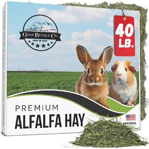 10lb Freshly Dried Organic Alfalfa Hay for Guinea Pigs, Rabbits, Chinchillas, Goats, Hamsters & Ferrets, Small Animal Food Rich in Protein & Fiber, Hand-Selected, Hand sorted, USA Grown