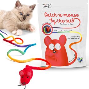 Catch a Mouse Wool Cat Toy with a 6-Ft Tail for Indoor Cats & Kittens. Cute Toy Mouse, Rat Plush Toy, Fake Mice. No Catnip. Pride (Rainbow)