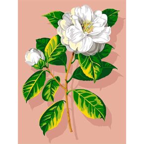 Needlepoint Canvas Gobelin Tapestry SEG Paris Fleur 926-233 40 X 50