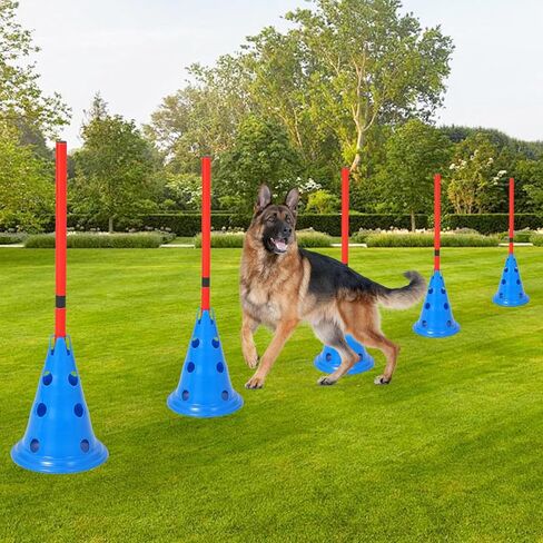 Dog Agile Course Backyard Set, 87-Piece Dog Agile Equipment, Dog Obstacle Course Backyard With 2-Set Agile Hurdle ,Jump Ring, Tunnel, Pause Box, 8 Weave Poles, Toy Balls & Portable Storage Bags in Saudi Arabia