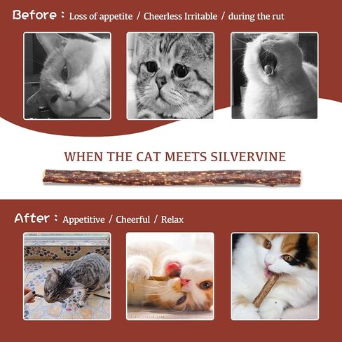 Silvervine Sticks for Cats, 30PCS Kitten Toys Catnip Toys Matatabi Silvervine Sticks Kitty Chew Toys Wooden Stick Kitten Teething Toys Molar Suitable for Cats of All Ages in Saudi Arabia