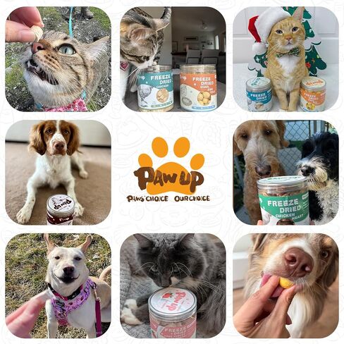 Freeze Dried Dog Treats, Grass Fed Beef Liver, Raw Single-Ingredient, High-Protein, Human Grade Bite-Sized Pieces Pet Treats, All Natural, 3.8 oz in Kuwait