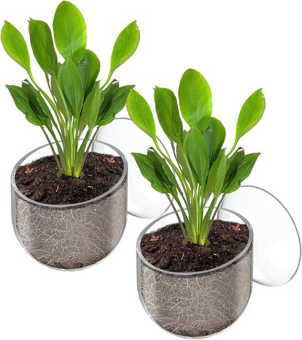 Pawfly 2 PCS Aquarium Plant Holder ، وعاء نبات أسماك لزخرفة Aquascape ، وتغذية الأسماك الحمراء ، وكوب زارع الحوض مع كوب شفط ، واضحة. in Kuwait