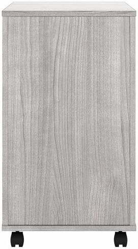 Pemberly Row 2 Drawer Mobile File Cabinet in Modern Hickory - Engineered Wood in Kuwait