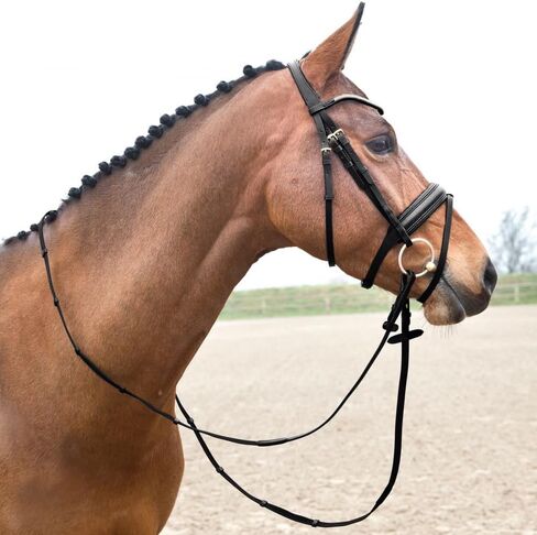 HORZE Lester Dressage Snaffle Bridle w/Reins in Saudi Arabia