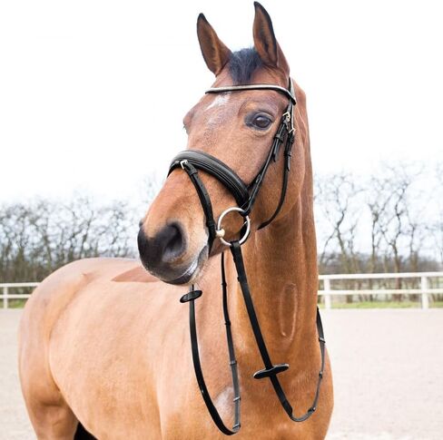 HORZE Lester Dressage Snaffle Bridle w/Reins in Saudi Arabia