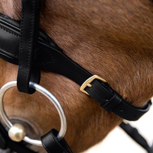 HORZE Lester Dressage Snaffle Bridle w/Reins in Saudi Arabia