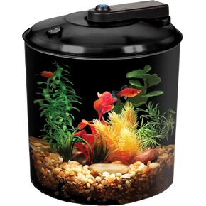 Koller Products AquaView 2-Gallon Plastic 360 Aquarium with Power Filter & LED Lighting for Tropical Fish - Betta Fish in Kuwait