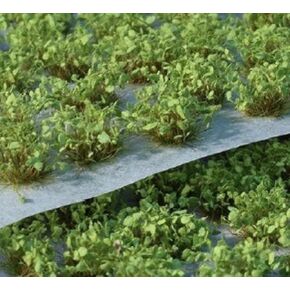 Green Shrub 6mm