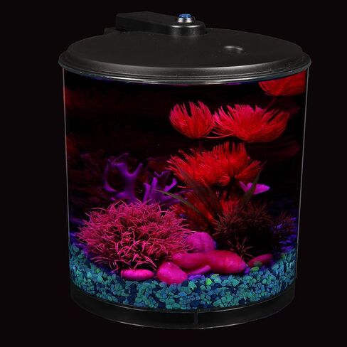 Koller Products AquaView 2-Gallon Plastic 360 Aquarium with Power Filter & LED Lighting for Tropical Fish - Betta Fish in Kuwait
