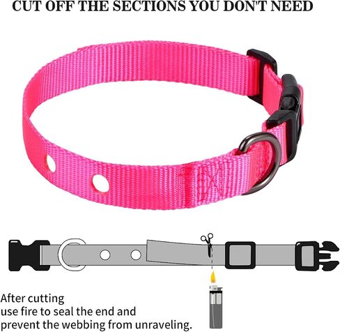 1 Inch Dog Shock Collar Replacement Strap with 2 Holes - Compatible with Most Brands of Ecollar Dog Fences and Training Collars, Purple in Saudi Arabia