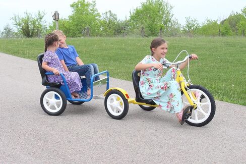 AmishToyBox.com Groffdale Chopper Deluxe Kid's Trike in Kuwait