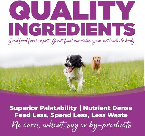 NutriSource Chicken & Rice Puppy Food, Premium Wet Dog Food, 12.3 Ounce (Pack of 12) in Saudi Arabia