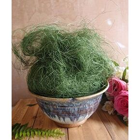 Sisal Fiber Filler 125G Pack Choose Natural or Moss (Natural)