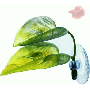 2pcs aqua betta ورقة السرير الناعم سرير محاكاة الموائل الطبيعية لبيتا أراضي التفريغ تربية سرير بيتا سرير. (2 أجهزة كمبيوتر)