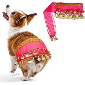 Belly Dance Hip Scarf, Dogs Belly Dancer Skirt Dog Dancer Costume Pet Costumes with Skirt Wrap Performance Bling Sequins Coins for Women Corgi Puppy Birthday Parties Halloween Celebrations