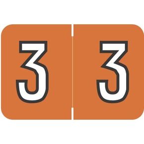 Doctor Stuff - File Folder Labels, Number 6, Barkley FNBKM Match - BRNM Series Chart Stickers, Lavender, 1" x 1-1/2", #6, 500/Roll