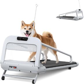 2025 2-in-1 Quiet Smart Pet Treadmill, Adjustable Speed for Small/Medium Dogs, 2.5HP Powerful Motor, Extra Large Running Area 41.3"x15.7", Foldable Design, Low Noise, Supports Up to 265 LBS