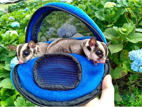 Kucci Carry Pouch - Fleece Travel Carrier Carrier Carrier - لداحن السكر والسناجب والمرموسيت والهامستر والقوارض والفئران والزواحف والحيوانات الأليفة الصغيرة الأخرى (X -Large) in Kuwait