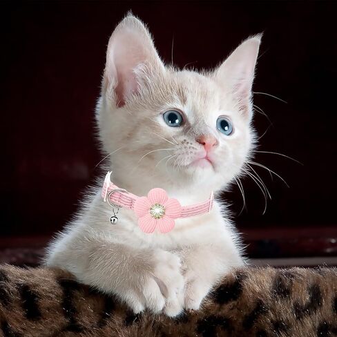 Cat Collar, HANSHILAI Kitten Collar with Bells, Cute Cat Collar Breakaway for Girl Boy with Flower,Collar para Gatos (Rhinestones Yellow & Pink & Orange & Purple) in Kuwait