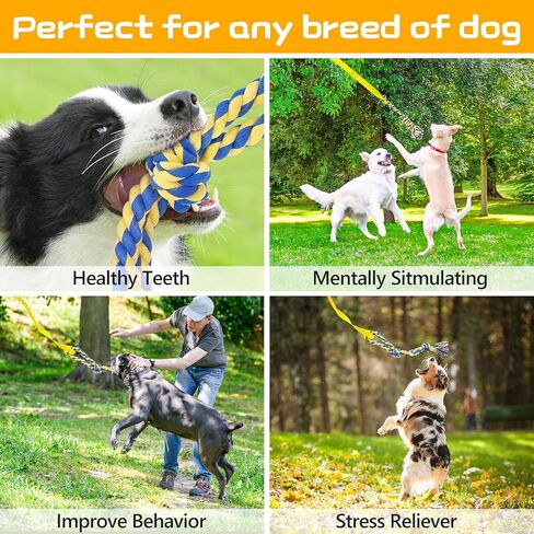 Xiaz Tug of War Dog Toy ، Toy Dogs Toy Toy Bungee معلقة مع 2 ألعاب حبل مضغ ، وجرو جرو شاق في الهواء الطوي in Kuwait