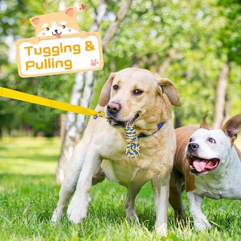 Xiaz Tug of War Dog Toy ، Toy Dogs Toy Toy Bungee معلقة مع 2 ألعاب حبل مضغ ، وجرو جرو شاق في الهواء الطوي in Kuwait