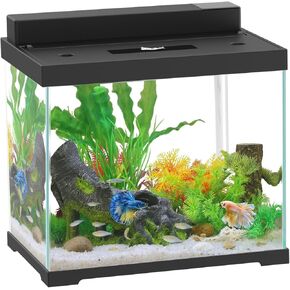 AQQA 2.4 Gallon Glass Aquarium Tank Kit with LED Lights & Quiet Filter – Self-Cleaning All-in-One Fish Tank, ABS Cover, 4 Light Modes, Built-in Feeding Hole – Perfect for Betta, Small Fish, or Plants