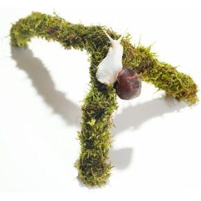 12 Inch Pet Snail Climbing Toys, Ideal Snail Terrarium Accessories, Perfect for Pet Snails That Like to Climb