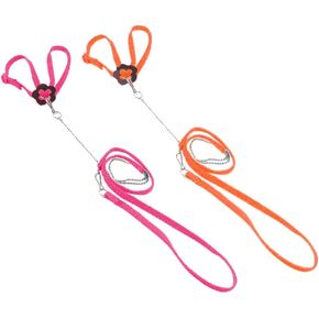 QBLEEV 2 Pack Adjustable Nylon Harness for Parrots, Anti-Bite Outdoor Training Leash for Lovebird Pigeon African Greys Cockatoos Macaws Cockatiels Parakeets Finches