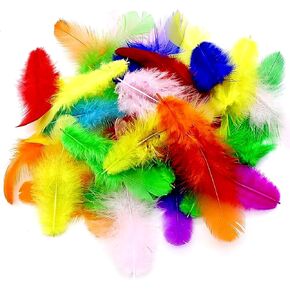 800Pcs Assorted Colors Bulk Feathers, Colorful Craft Rooster Feathers 3-5-inches for DIY Crafts,Kindergarten DIY Crafts, Party Decorations, Wedding, Dream Catcher Supplies