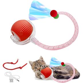 Cat Toy, Interactive Cat Toy, Cat Toys for Indoor Cats with 2 Tails, 3 Modes Rechargeable Cat Enrichment Toys for Small/Medium/Large Cats to Keep Them Busy