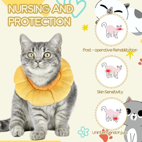 Soft Dog Cone Collar,Dog Donut Collar After Surgey, Flower Shape Dogs Cone Alternative, Adjustable Cat Collars for Medium Large Dogs(M) in Saudi Arabia