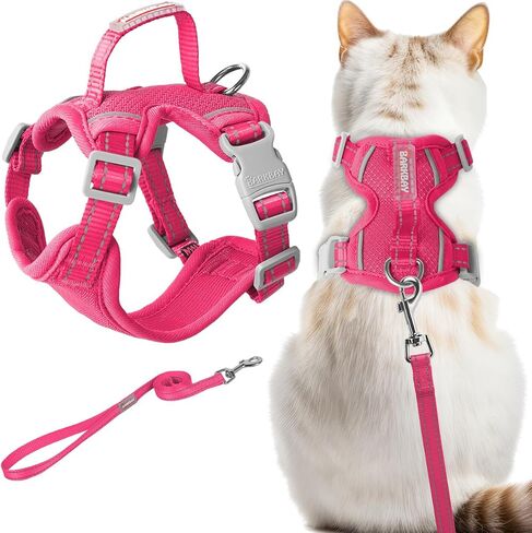 Cat Harness and Leash Set Escape Proof for Kitten Walking, Soft Adjustable Top Handle Vest Harnesses for Cats, Easy Control Breathable Reflective Small Medium Large, Pink, XXS in Saudi Arabia