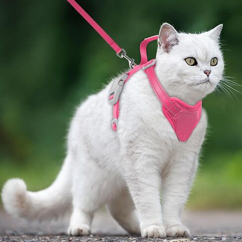 Cat Harness and Leash Set Escape Proof for Kitten Walking, Soft Adjustable Top Handle Vest Harnesses for Cats, Easy Control Breathable Reflective Small Medium Large, Pink, XXS in Saudi Arabia