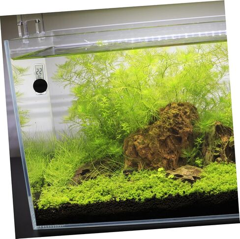 Milisten Digital Reptile Thermometer Aquarium Temperature Monitoring Tool for Fish Tank and Terrarium Reliable Temperature with Digital Display for Lizards Turtles and Reptile in Saudi Arabia