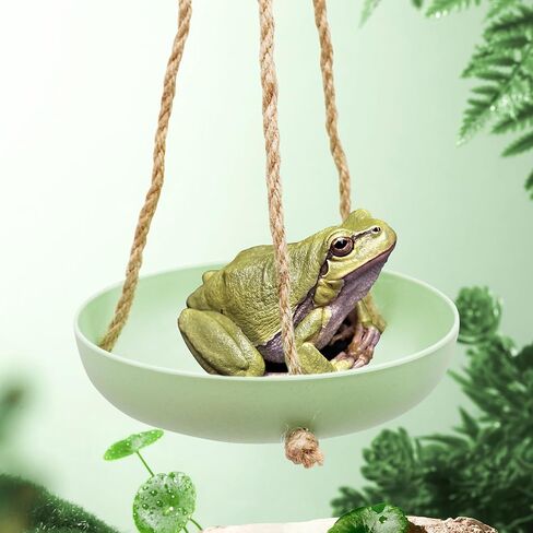 Frog Swing Toys, Gecko Swing Toys, Plastic Reptile Amphibian Climbing Toys, Tank Aquarium Terrarium Decoration Accessories, Suitable for Frog Gecko Lizard Chameleon Hermit Crab Hamsters Rats in Saudi Arabia