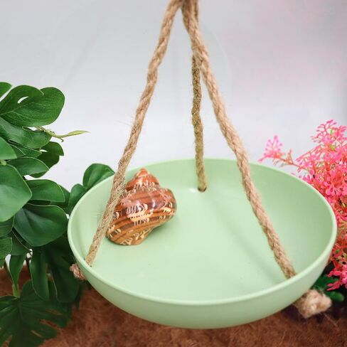 Frog Swing Toys, Gecko Swing Toys, Plastic Reptile Amphibian Climbing Toys, Tank Aquarium Terrarium Decoration Accessories, Suitable for Frog Gecko Lizard Chameleon Hermit Crab Hamsters Rats in Saudi Arabia